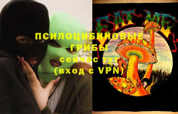 крисы Алексеевка