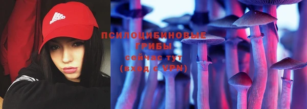тгк Алзамай