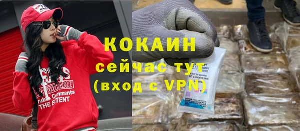 тгк Алзамай